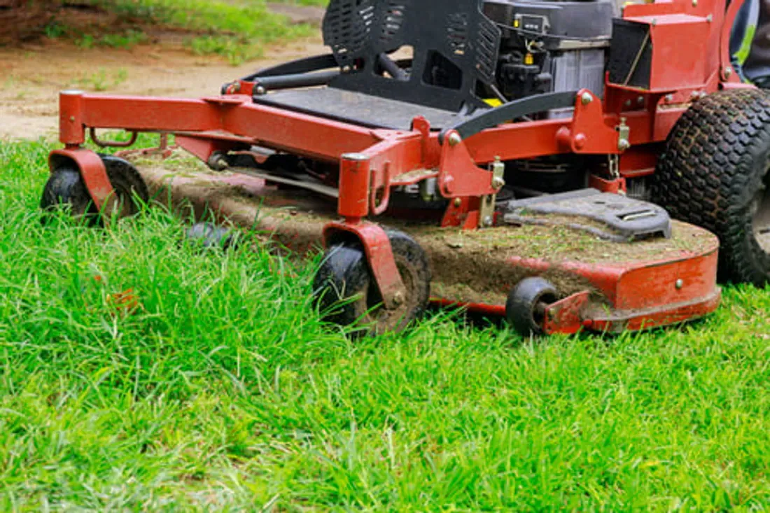 Zero-turn mower deck cutting through thick green Florida grass