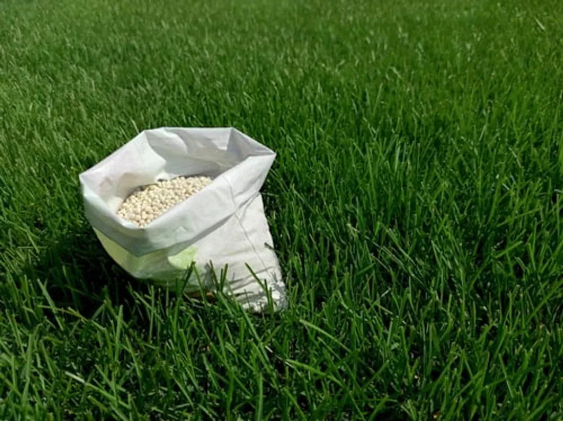 Open bag of granular lawn fertilizer sitting on a healthy green lawn
