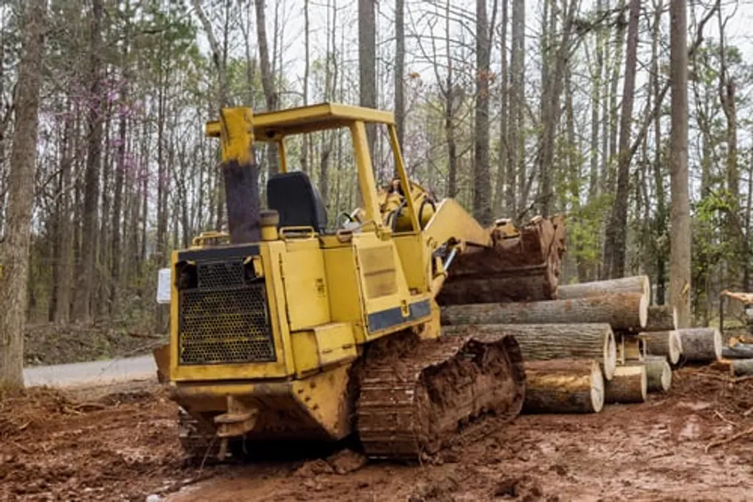 Heavy equipment clearing cut logs and stumps from a wooded lot