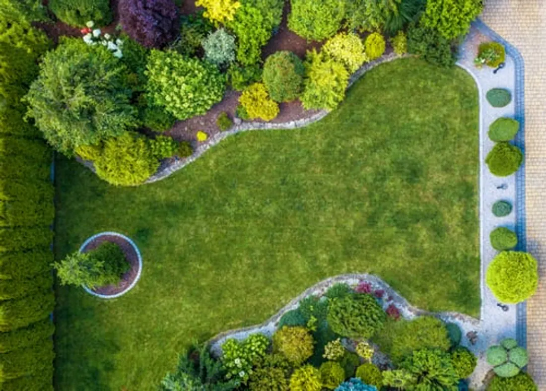 Aerial view of a professionally landscaped lawn with shaped garden beds